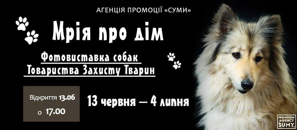 Сьогодні у Сумах відкриється унікальна фотовиставка «Мрія про дім»