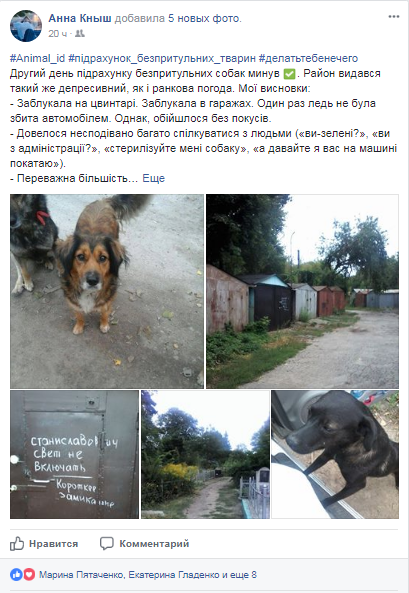 У Сумах завершився підрахунок безпритульних собак У Сумах завершився підрахунок безпритульних собак