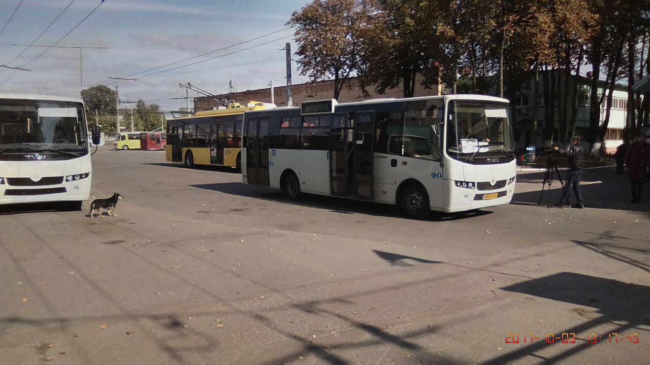 Нові автобуси схожі на ті, що вже працюють в місті