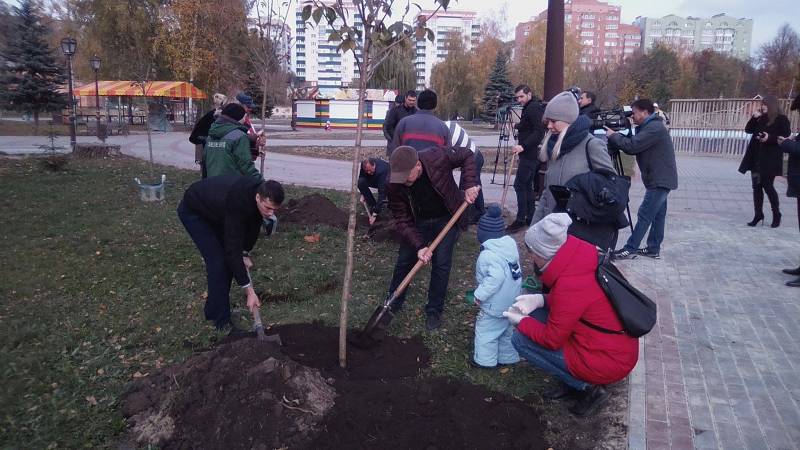 Сакури висаджені в дитячому парку