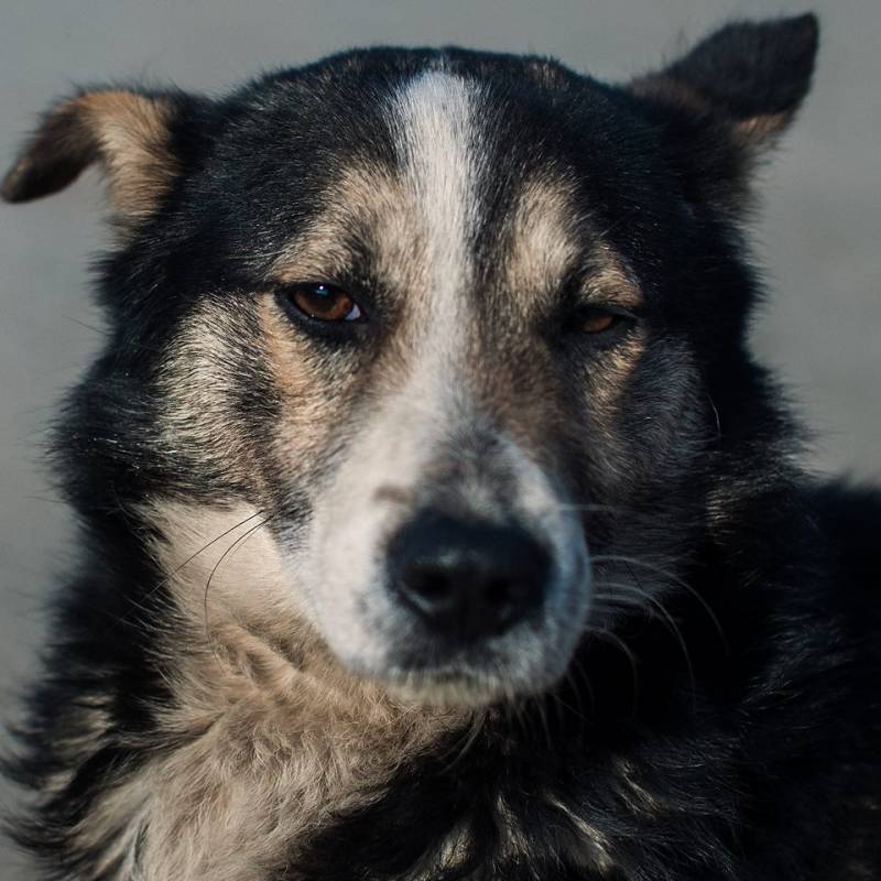 Photo by Volodik Khvostyk