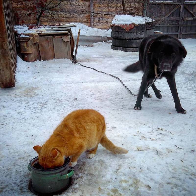 Photo by Дмитрий Зубченко