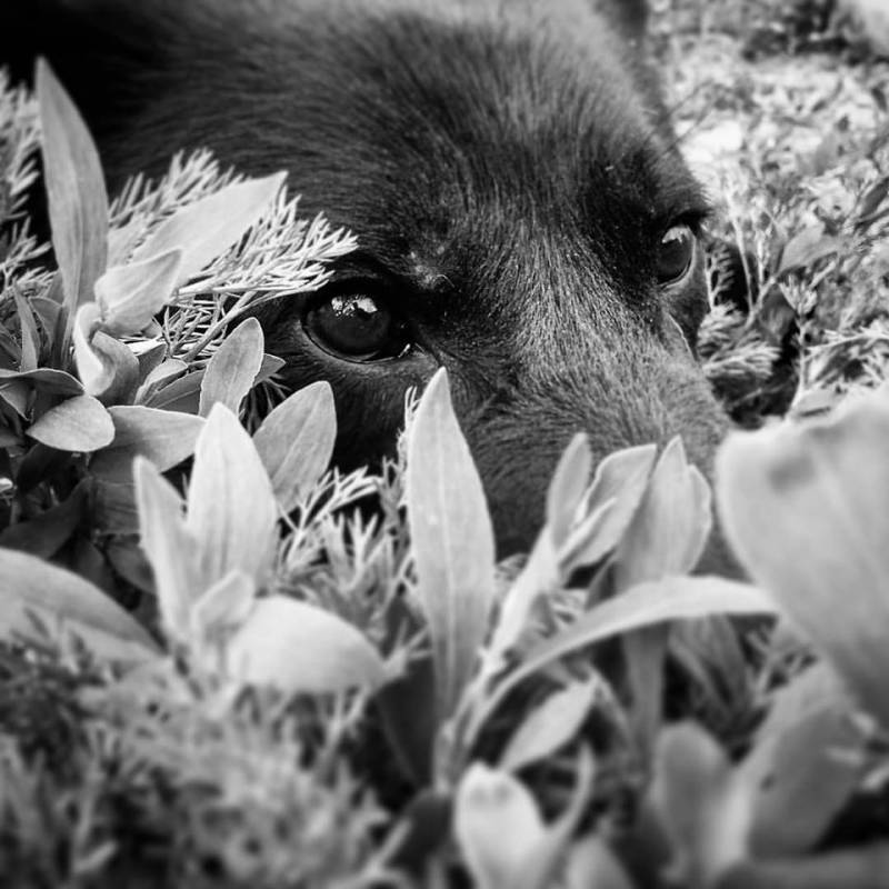 Photo by Дмитрий Зубченко