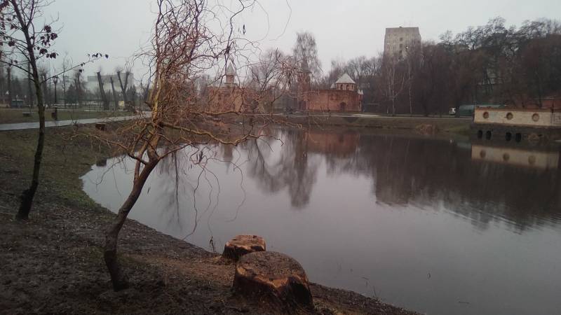 фото tribuna.sumy