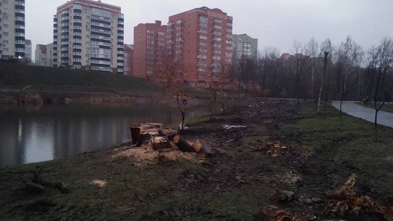 фото tribuna.sumy