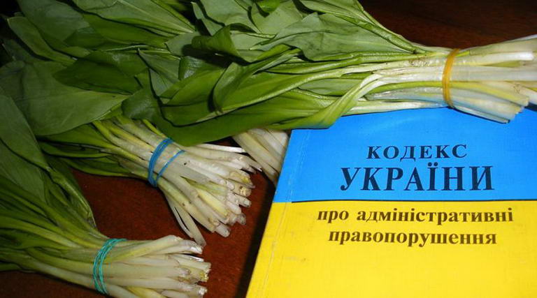 На Сумщині триває операція "Першоцвіт"