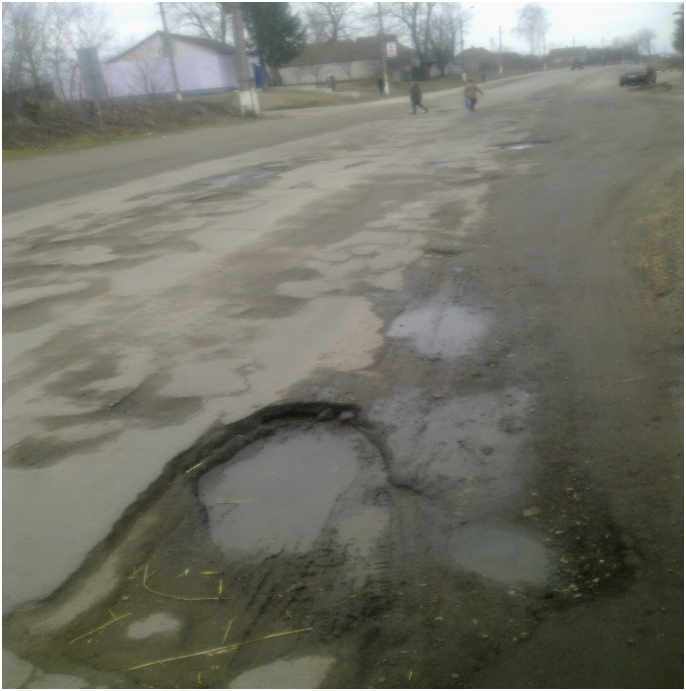 Фото САД