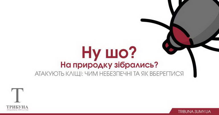 Як вберегтися від кліщів