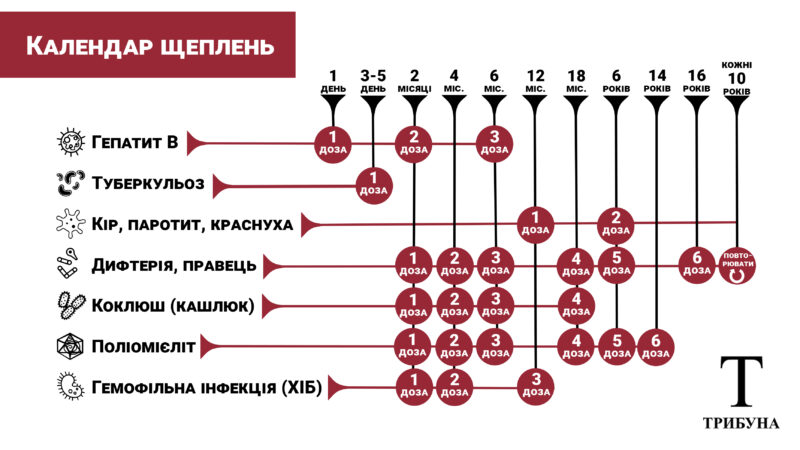Національний календар профілактичних щеплень