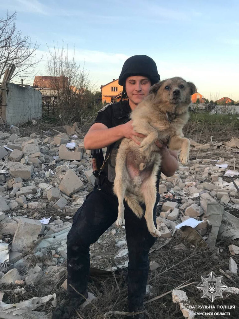 Фото: Патрульна поліція Сумської області